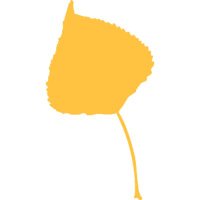 Aspen Journalism (@aspenjournalism) 's Twitter Profile