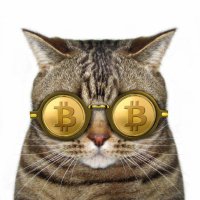 Boris Crypto (💙,🧡) 🛸 (@boris1crypto) 's Twitter Profile