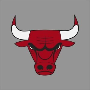 Unofficial account for the Chicago Bulls. Tweets coming from your main man Sebastian Grenier for JMC 2074, Virginia Tech's Introduction to Sports Media class.