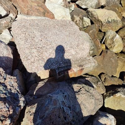 gunesbasak68's profile picture. Yolcudur Abbas
