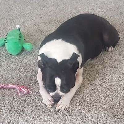 Noonesp69096182's profile picture. 