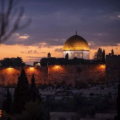 Palestinian from the besieged Gaza Strip, I carry the concern of the cause, until my beautiful country enjoys freedom🇵🇸🇵🇸