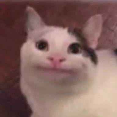 yaboybigtonyd's profile picture. idk I just work here