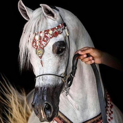 نُ
