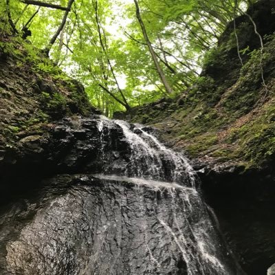 ninngendesuka's profile picture. 新宿 一般従業員の裏垢 永遠の社会不適合、明日より今を生きる