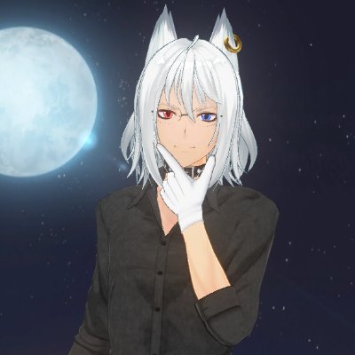 WhiteBlaze ✨🦊Vtuber -on Hiatus-さんのプロフィール画像