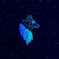 CriptoWolf (@criptowolf_yt) 's Twitter Profile