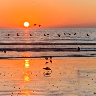 b_abaroa's profile picture. Me encanta la naturaleza, viajar y conocer otras culturas. También  seguir aprendiendo. Y me siento feliz cuando puedo ayudar a quien lo necesita.