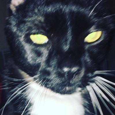 Spet87's profile picture. You can call me Sid