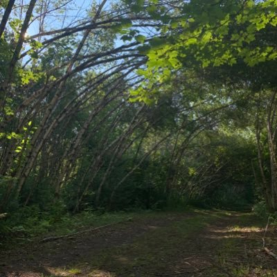 Jaylee_Lyn's profile picture. make your own happiness