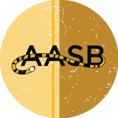 The official Twitter page for the Mizzou Alumni Association Student Board. Follow for updates on events, traditions, recruitment and more! #FightTiger