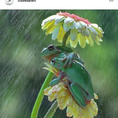 JB33rd's profile picture. 