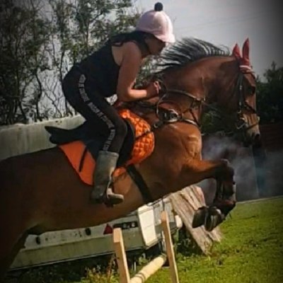 Diy livery yard amature jumping team amd pony club sessions