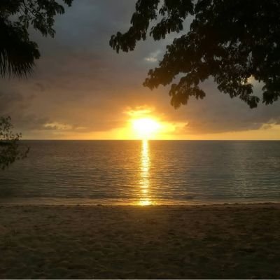 Raddigan2017's profile picture. 