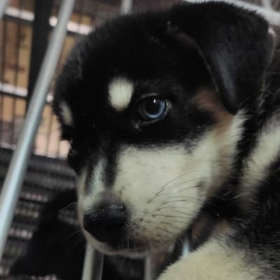 gonzeey's profile picture. 