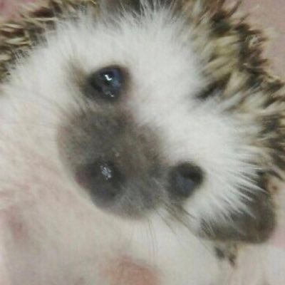 휴지さんのプロフィール画像