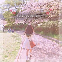 行動し始めたら人生激変💖素人から開始しました💖11社海外含め関わっています🔥資産3億💛現在は副業の情報をお伝えしたり、10万円をプレゼントしたりしています✨
LINE登録で10万円プレゼント中😘→https://t.co/VA6FSUFolN
ご自由にに追加して下さい😍一歩踏み出す勇気🌟💕コスメ