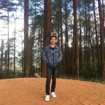 ibnusapis's profile picture. iseng