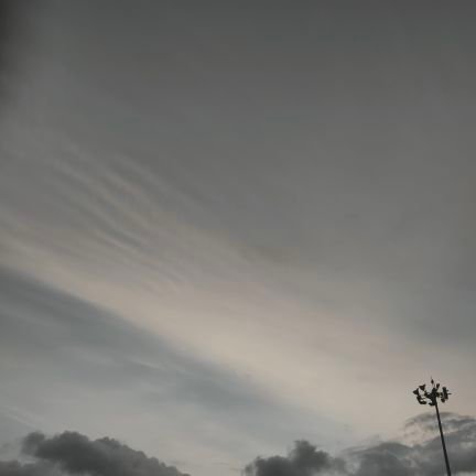 Designmaster011's profile picture. 