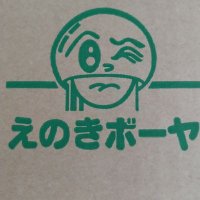 どら猫さん🧸(@doranecosan2021) 's Twitter Profile Photo