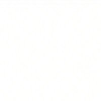 تم الدعس (@hdglihgf7jcsliv) 's Twitter Profile