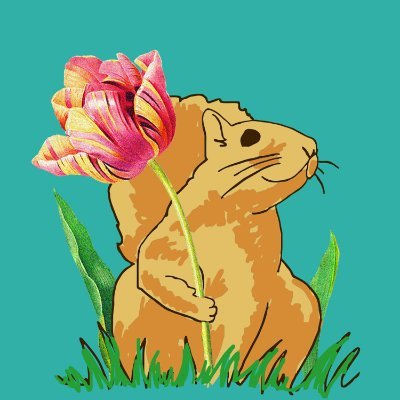 The Bushy Tail Bunchさんのプロフィール画像