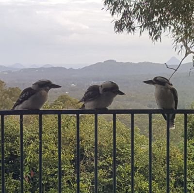 Earth lover and concerned Australian.