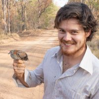 Patrick Webster (@turnix_pwebster) 's Twitter Profile