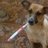 Mileygirl227's profile image