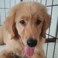 St_Lirc (@even30947563) 's Twitter Profile