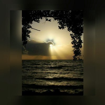 sexxxxy_red's profile picture. 