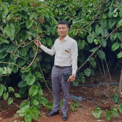 Công Ty Cổ Phần Dược Liệu Thành Hưng
Whatsapp+84962638076