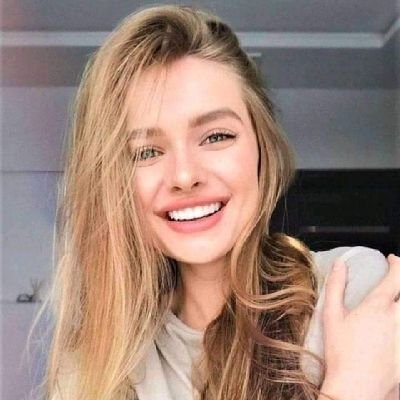 VinitGutam's profile picture. 