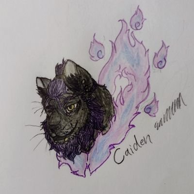 NSFW artist, I work in traditional style so forgive me for the quality. I'm just a simple nerd cat please spare me some bread please sir. 18+ only.