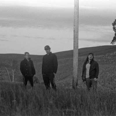 barerootsuk's profile picture. 