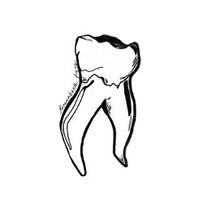 Greenteeth Press (@greenteethpress) 's Twitter Profile
