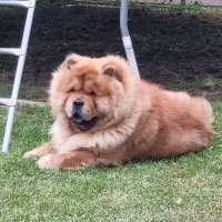 Mark Lynch (@mlynch_science) 's Twitter Profile