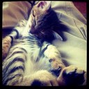 David Clem - @naondave - Twitter