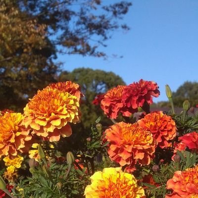 読書垢📖読んだ本の感想とかつぶやいていきます