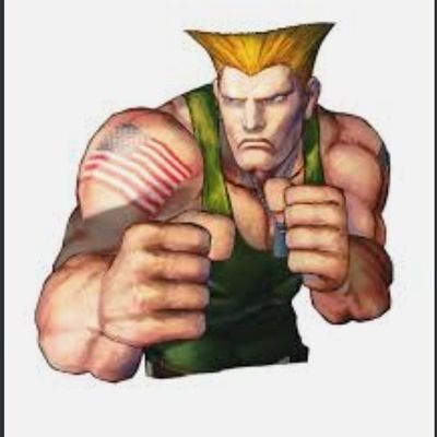 abcdefGuile's profile picture. 🇺🇸🇯🇵個別株メイン。自分だけのファンドマネージャー。備忘録。