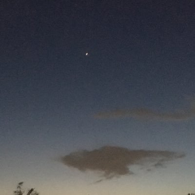 sato_daysago's profile picture. おはなしをつづるところ。