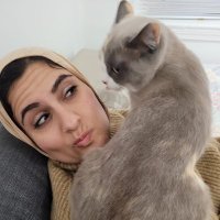 Doaa Megahed (@douaamugahid) 's Twitter Profile