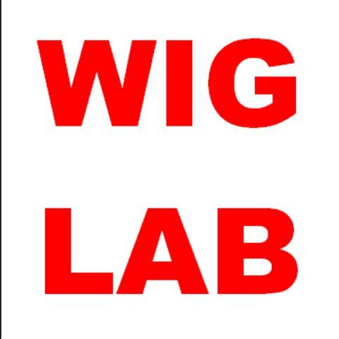 医療用ウィッグ『WIGLAB(ウィッグラボ)』群馬 「抗がん剤治療中の脱毛のご相談はWIGLABへ」