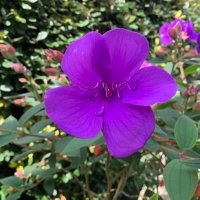 Fran Moskovits (@fran_moskovits) 's Twitter Profile Photo