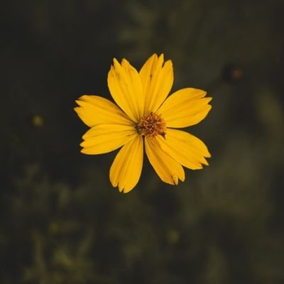 إنهُــم يتأملــون نــوافِذ الله ، ومــن يتأمــل نوافِــذ الله لا يســــأم ✨🌱