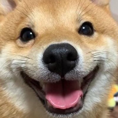 @close