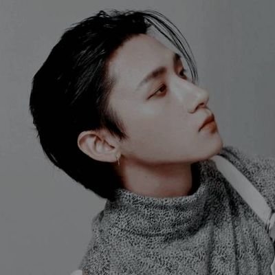 𝐀𝐫𝐭𝐢𝐟𝐢𝐜𝐢𝐚𝐥 ╱ Not Real: 1996. He is a wolf and represented as maknae on top in MONSTA X (몬스타엑스). He goes by the name Im Chang Kyun.