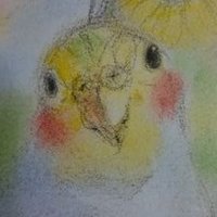 PITOTAN MIMI🌸🇯🇵 (@pitotanm) 's Twitter Profile