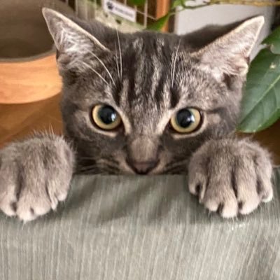634さんのプロフィール画像