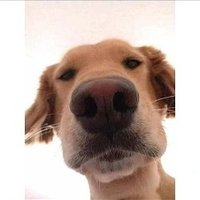 Giang (@giang53352867) 's Twitter Profile